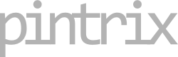 pintrix_logo